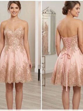 Que Strapless Blush Pink Dress with Gold Lace Appliqué